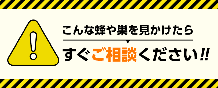 ハチ駆除・ハチ撃退・ハチ退治・ハチの巣駆除・蜂駆除・蜂撃退・蜂退治・蜂の巣駆除