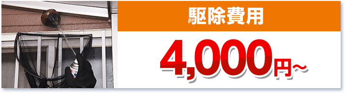 駆除費用4,000円~・スズメバチの巣・ミツバチの巣・アシナガバチの巣